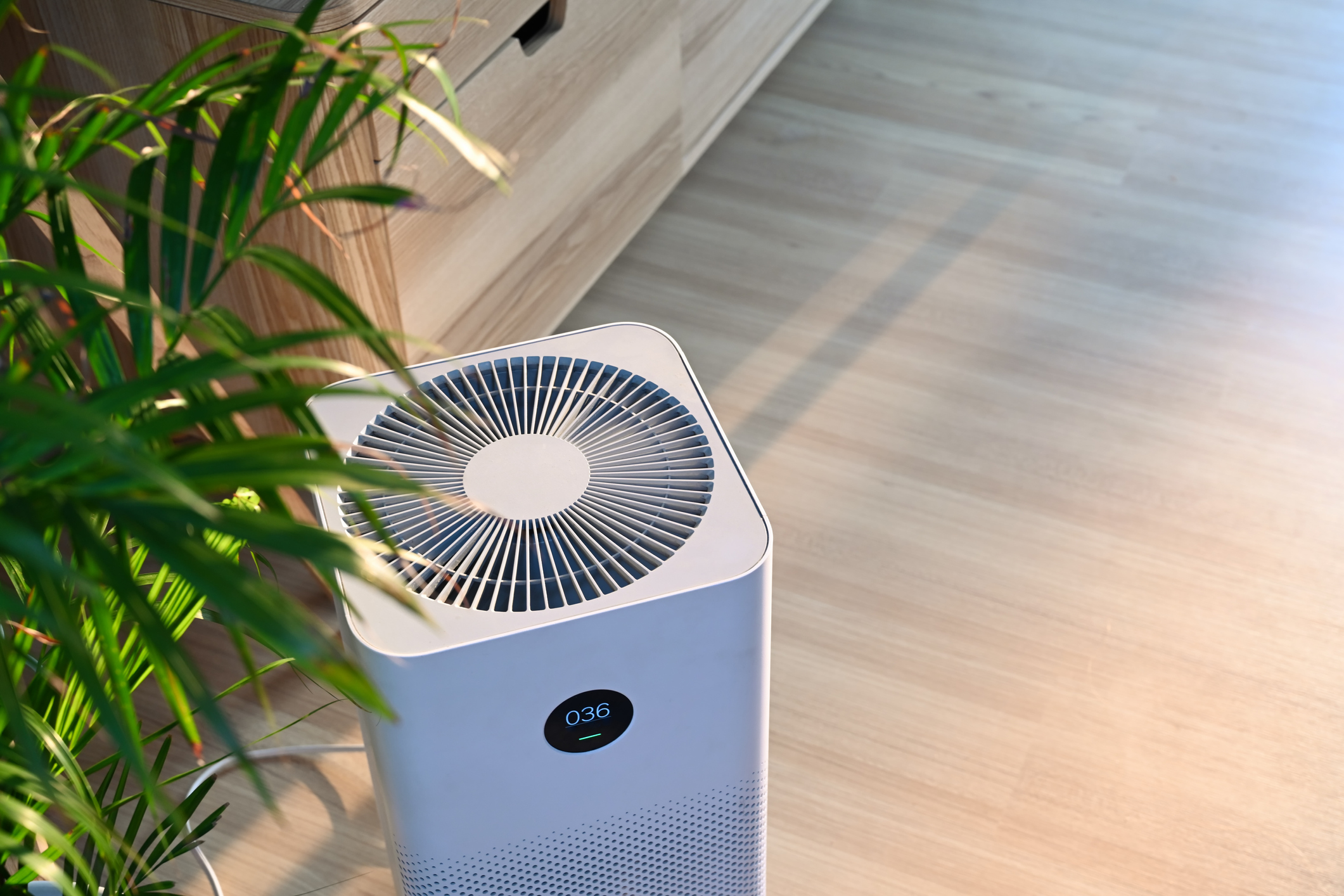Air purifier in a living room under a plant